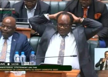 At least grant me an injunction otherwise Ng’ona will expell me, Mundubile pleads with court
