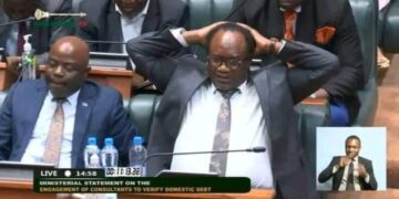 At least grant me an injunction otherwise Ng’ona will expell me, Mundubile pleads with court