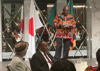 Bilateral agreement between Zambia and Japan underway to boost investment